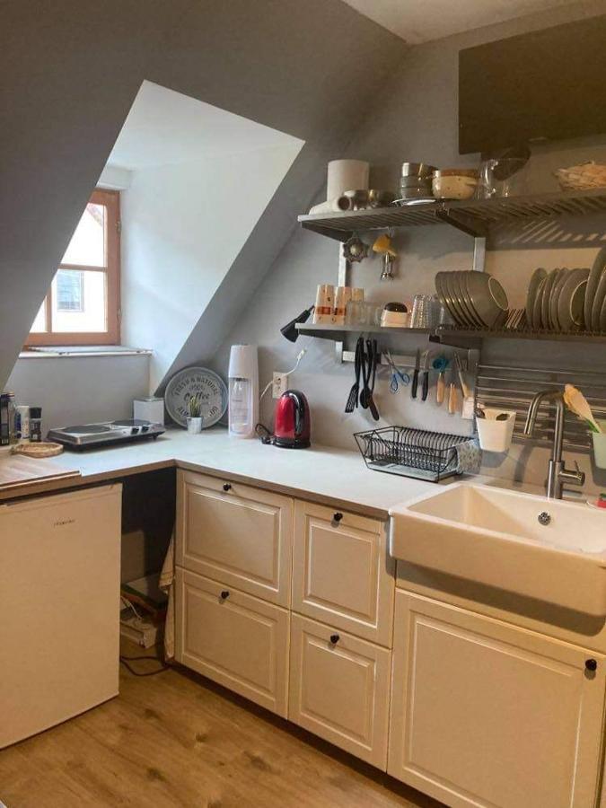 Apartman Pod Starym Zamkom Banská Štiavnica エクステリア 写真